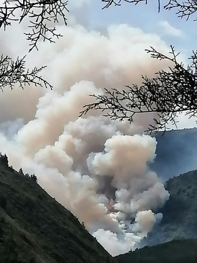 Reserva Natural Santa Clara en Cauca, consumida por las llamas, piden apoyo urgente a la Fuerza Aérea | Noticias de Buenaventura, Colombia y el Mundo
